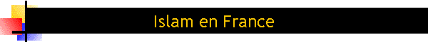 Islam en France